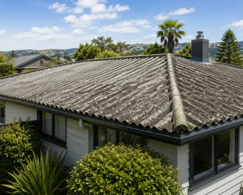 Asbestos & Fibrolite Roof Treatment2