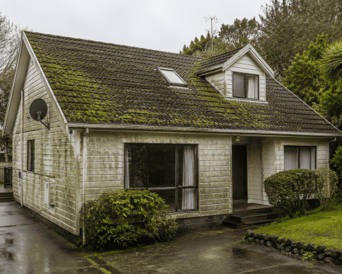 Pre-Sale Roof & Exterior Wash